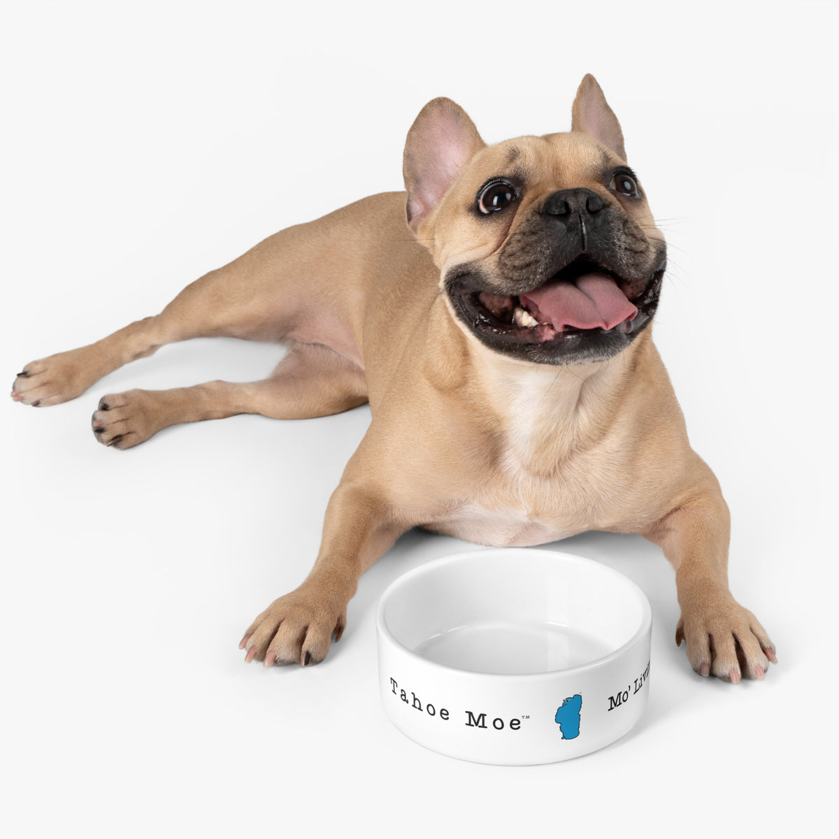 Tahoe Moe™  Mo' Living™  - Pet Bowl
